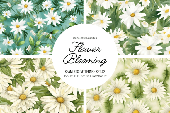 Daisy Flowers Seamless Patterns Vol.1